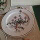 6 small plates - 20 cm - Botanica, Villeroy and Boch series