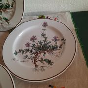 6 small plates - 20 cm - Botanica, Villeroy and Boch series
