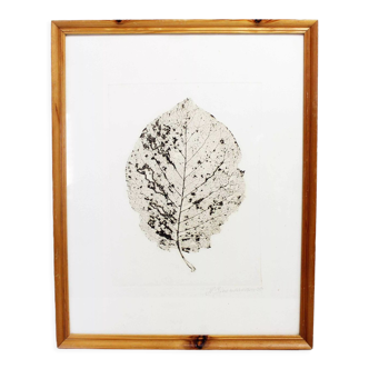 Gravure de feuille d'arbre