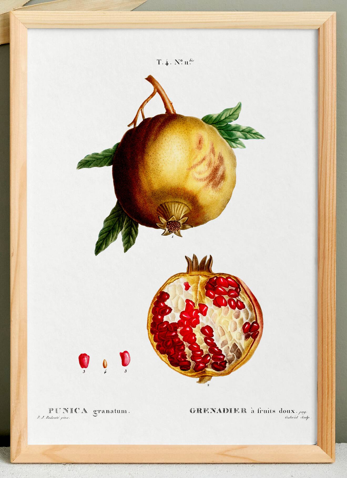 Poster about the Grenadier, after an engraving from 1802