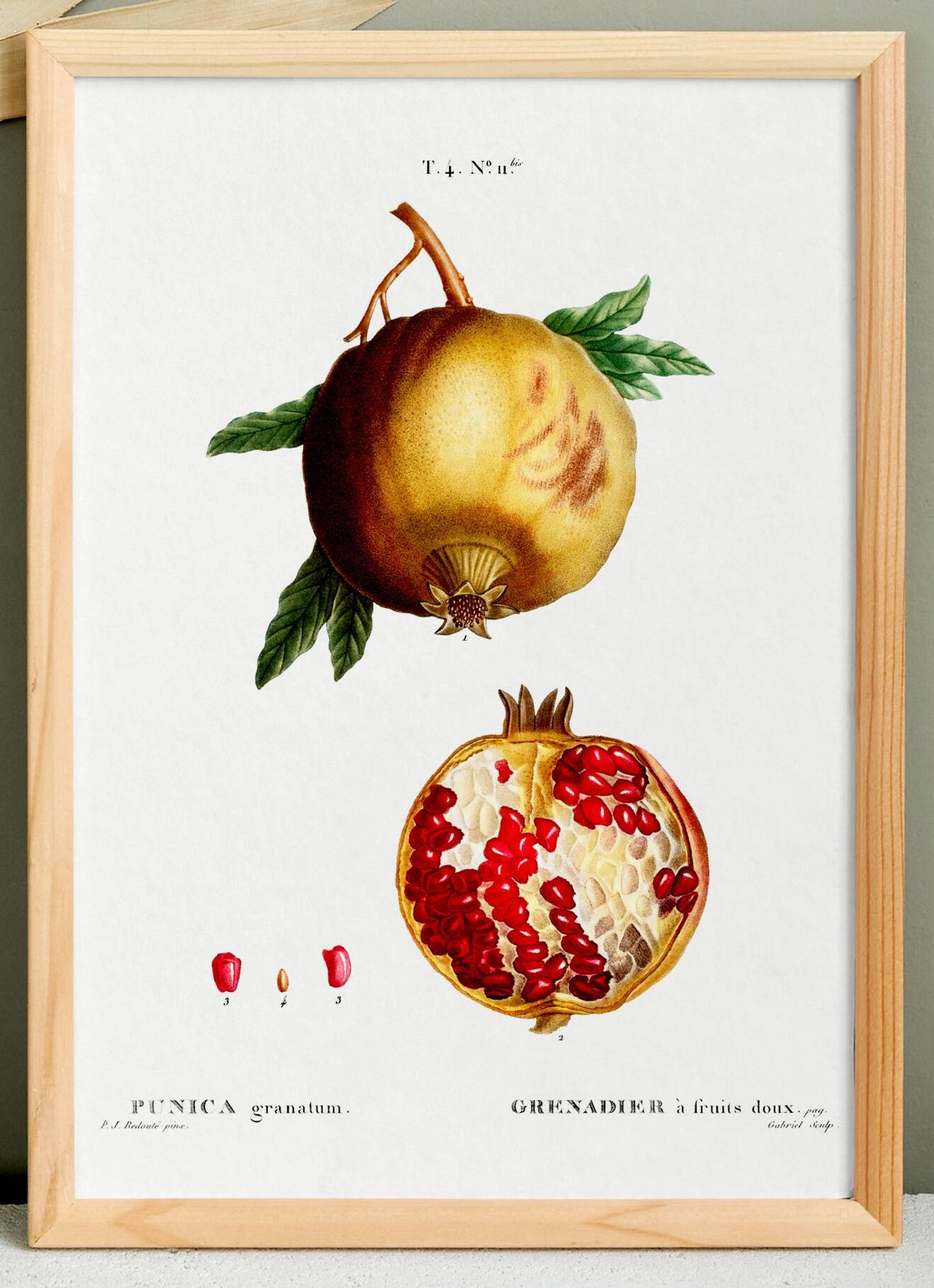 Affiche sur le Grenadier, d’après une gravure de 1802