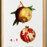 Poster about the Grenadier, after an engraving from 1802