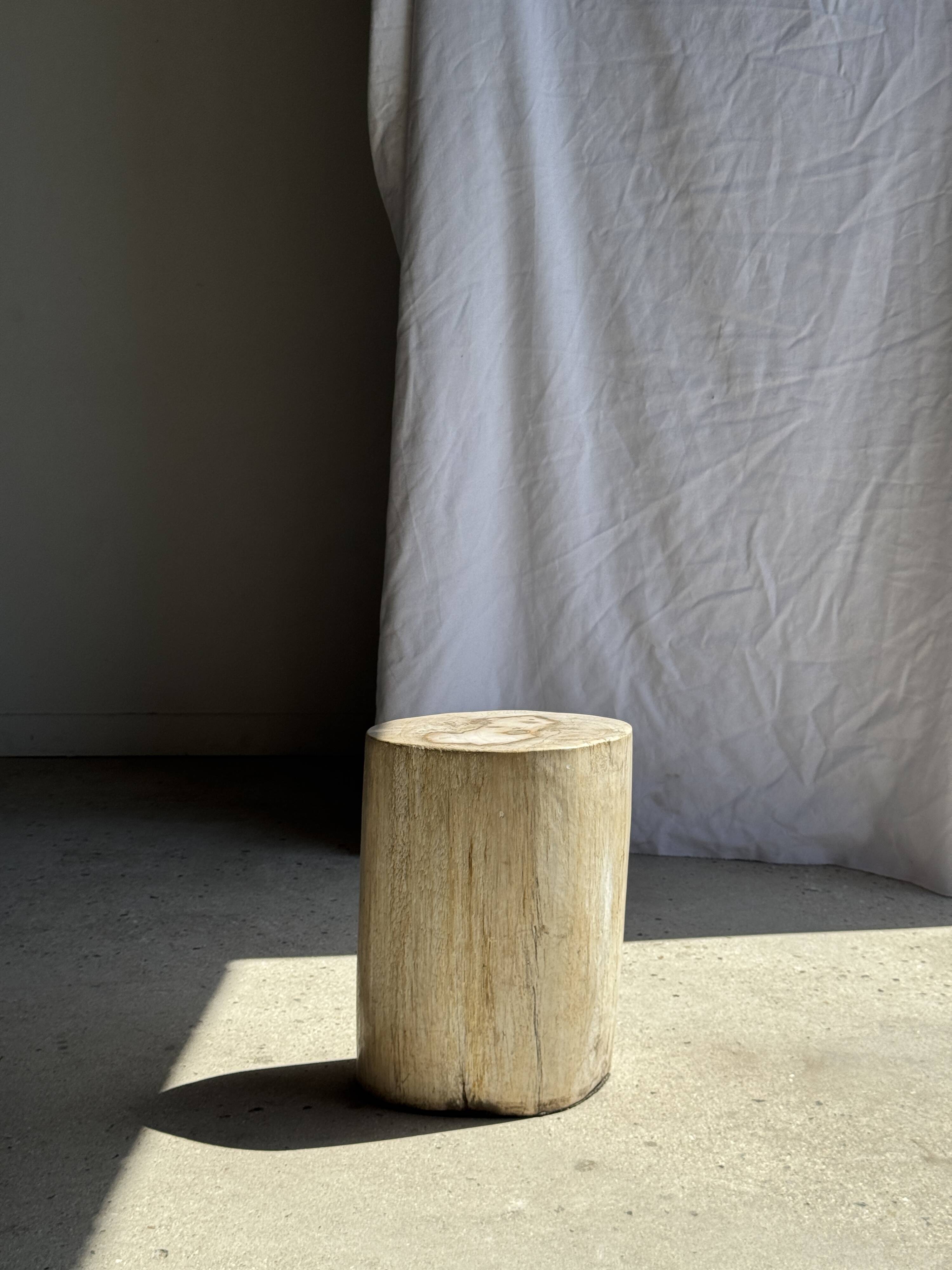 White oval petrified wood side table H38 D28 - 3335