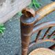 Paire de chaises de café bistrot viennoise par L. & H. Cambier Frères bois courbé belgique