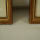 Paire de lithographies oiseaux sous cadre vintage