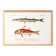 Poster about barracuda and red mullet, based on an old engraving from 1849