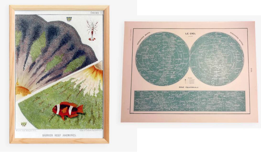 A lot of a lithograph on the sky and a poster on anemones.