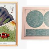 A lot of a lithograph on the sky and a poster on anemones.