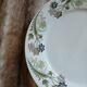 6 antique flat plates U&C Sarreguemines