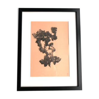 Framed lithograph, extract from the notebook "Les Natugraphies", Albert de Visscher