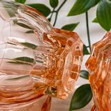 Set de 6 verres Luminarc étoile rose