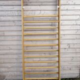 Gymnastics espalier in solid elm