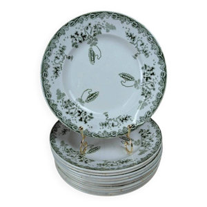 lot de 12 assiettes plates - terre
