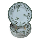 Lot de 12 assiettes plates Terre de Fer Saint-Amand modèle Modern Style 22 cm