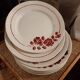 10 plates eden saint amand