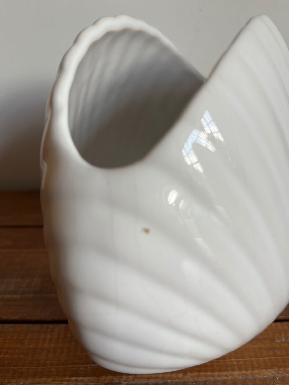 Vase coquillage