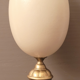 Oeuf de nandou cabinet de curiosité