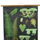 Large Vintage School Map The Fern Jung Koch Quentell 117cm