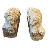 Leoni Canova