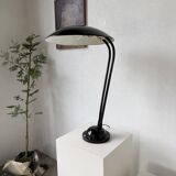 Bega 1950 XL desk lamp