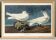 Poster about the Ivory Seagull, after an old engraving from 1827.