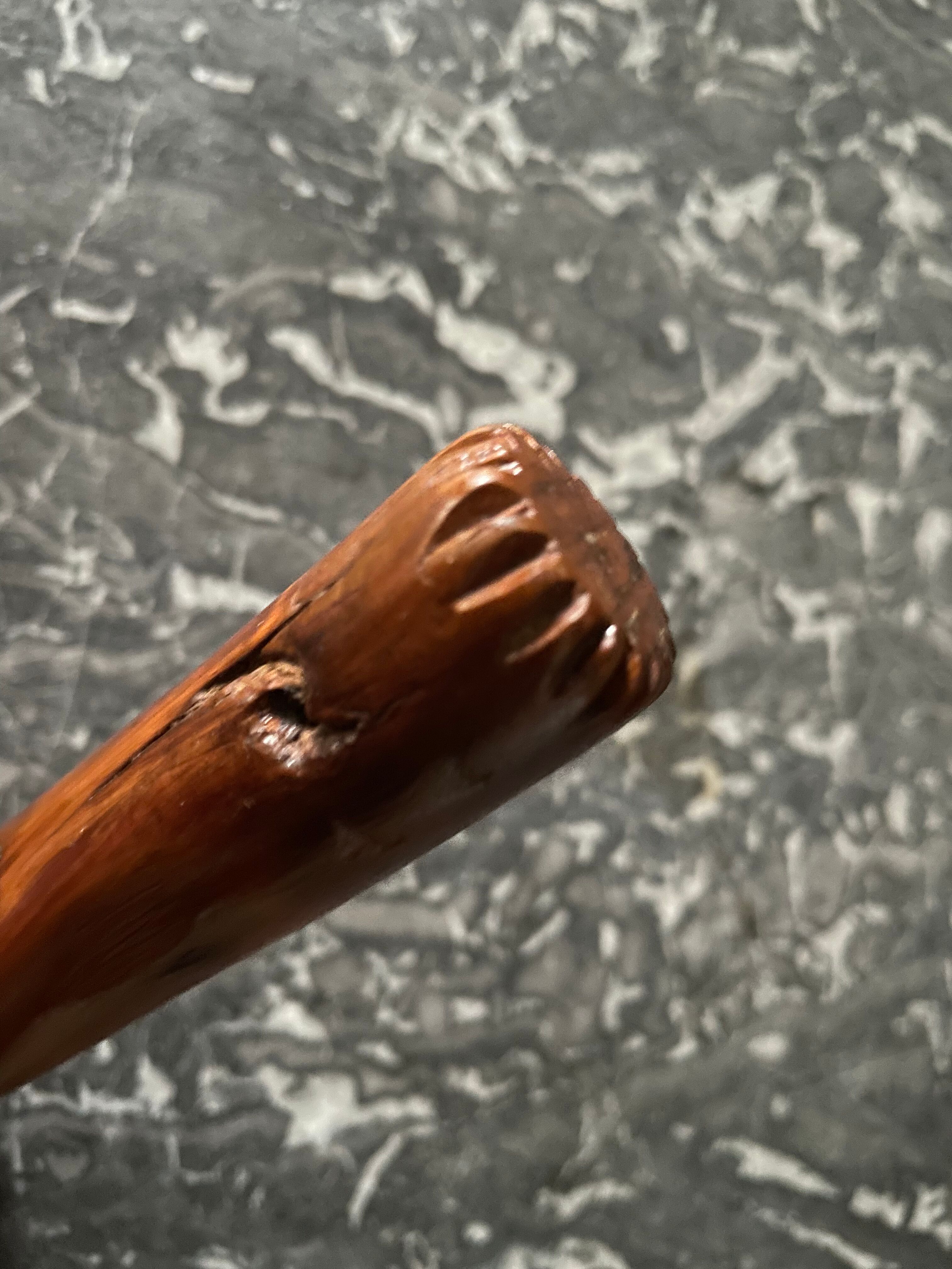 Raw wooden salad bowl