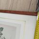 Lot 3 Large Botanical Engravings by Pierre-Joseph Redouté Flowers