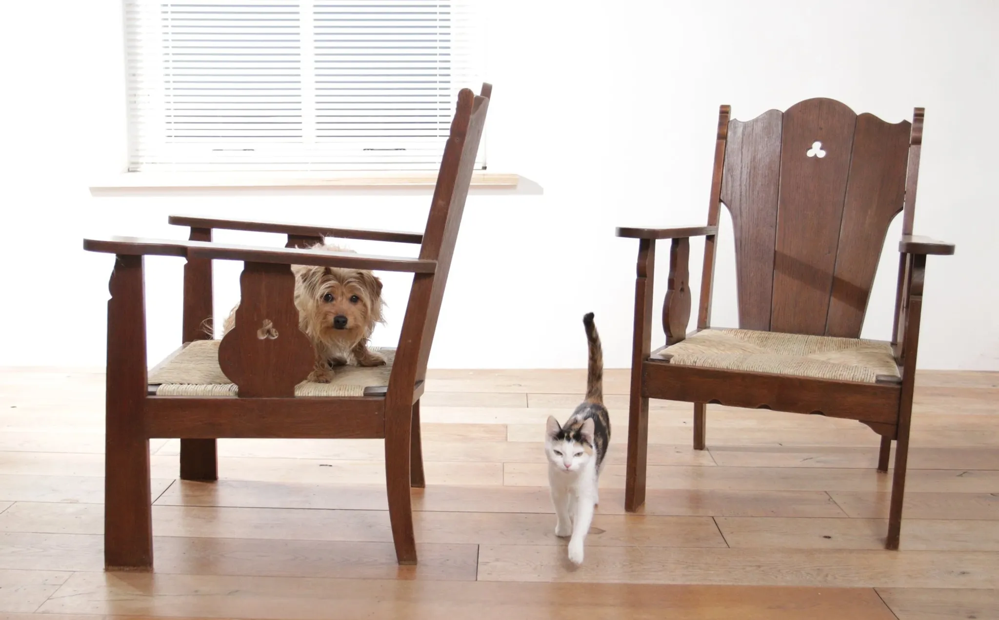 Pair of low Brutalist oak lounge chairs with new rush seats – circa 1935