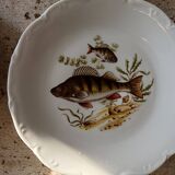 11 dinner plates, one large oval dish, and one gravy boat.