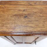 Meuble de chevet rustique / Petite armoire de rangement - 20e siècle
