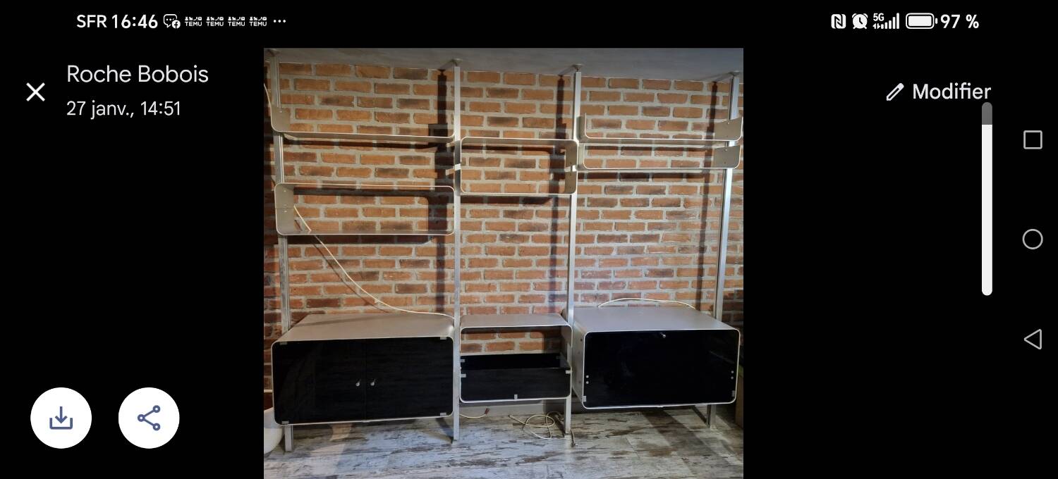 Roche Bobois library