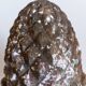 Garden pine cone