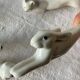 12 Art Deco porcelain knife holders