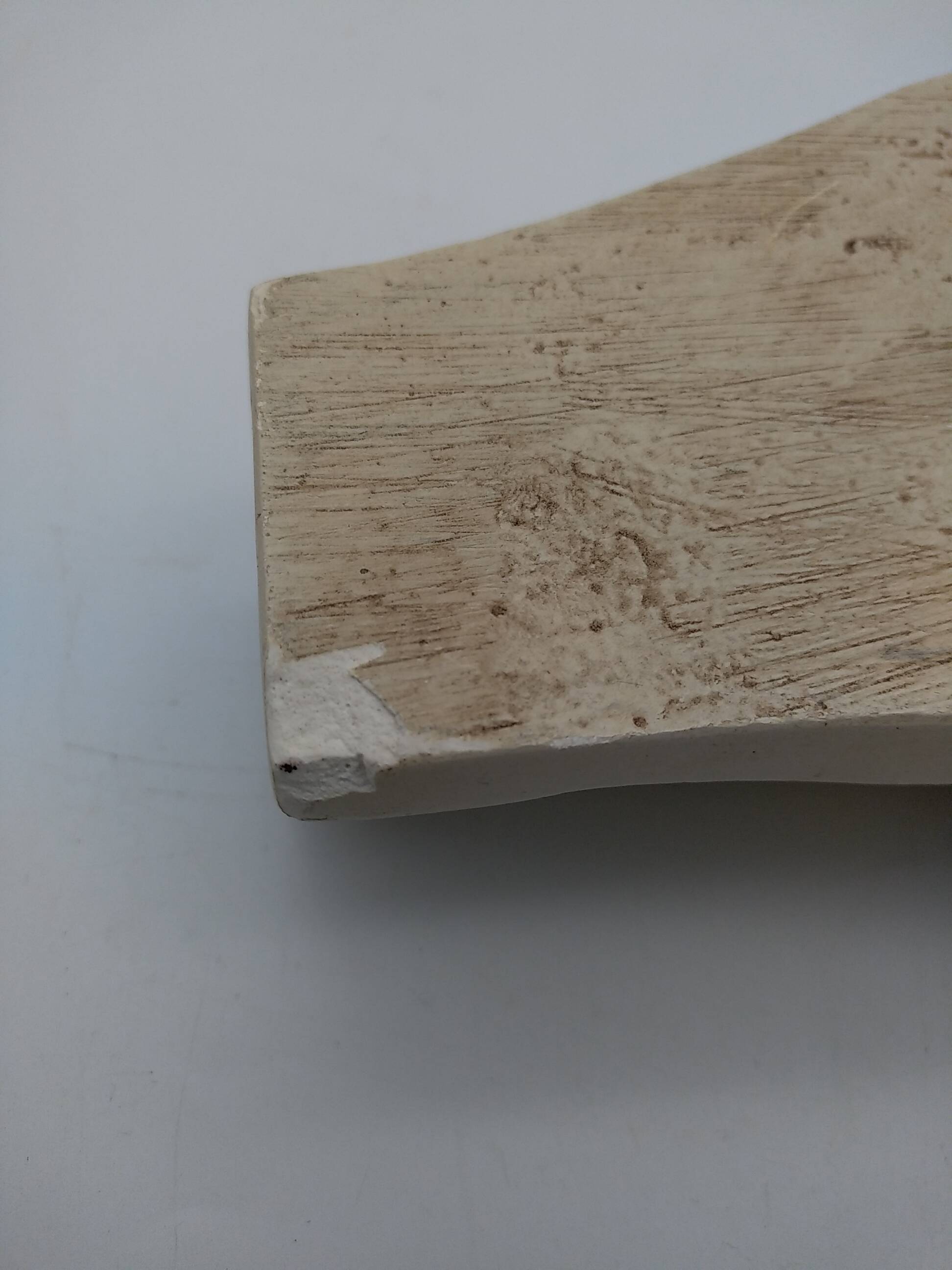 Plaster hand of Frédéric Chopin.