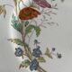 Set of 3 antique Longchamp ironstone dinner plates.