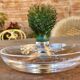 "Cactus" bowl in crystal and glass paste - Daum, Hilton McConnico