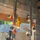 2 Targetti sankey pendant lights
