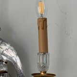 Pair of parrot crystal or parakeet wall sconces Maison Baguès 1950