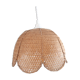 Suspension rotin