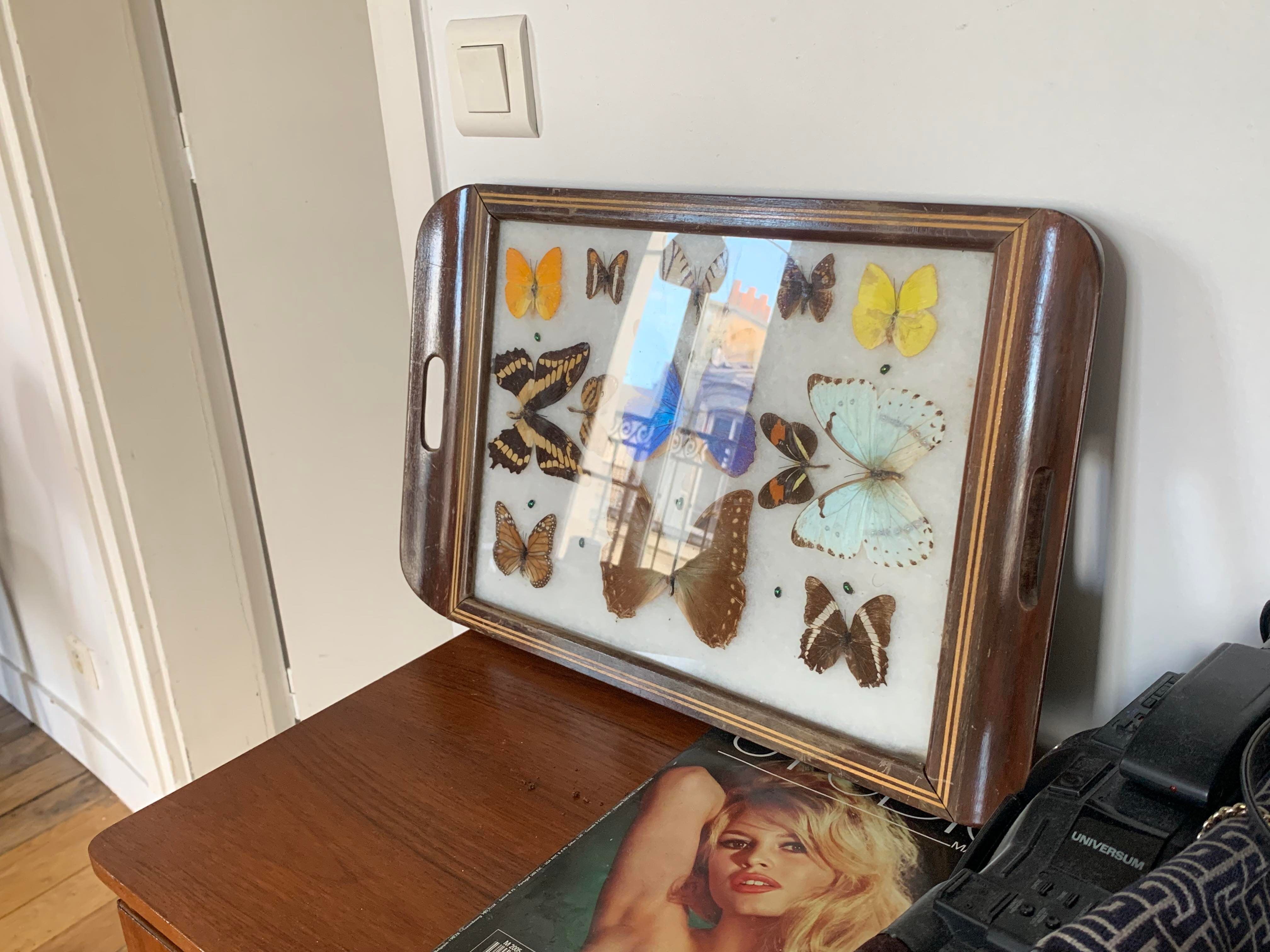 Butterfly tray stuffed under glass