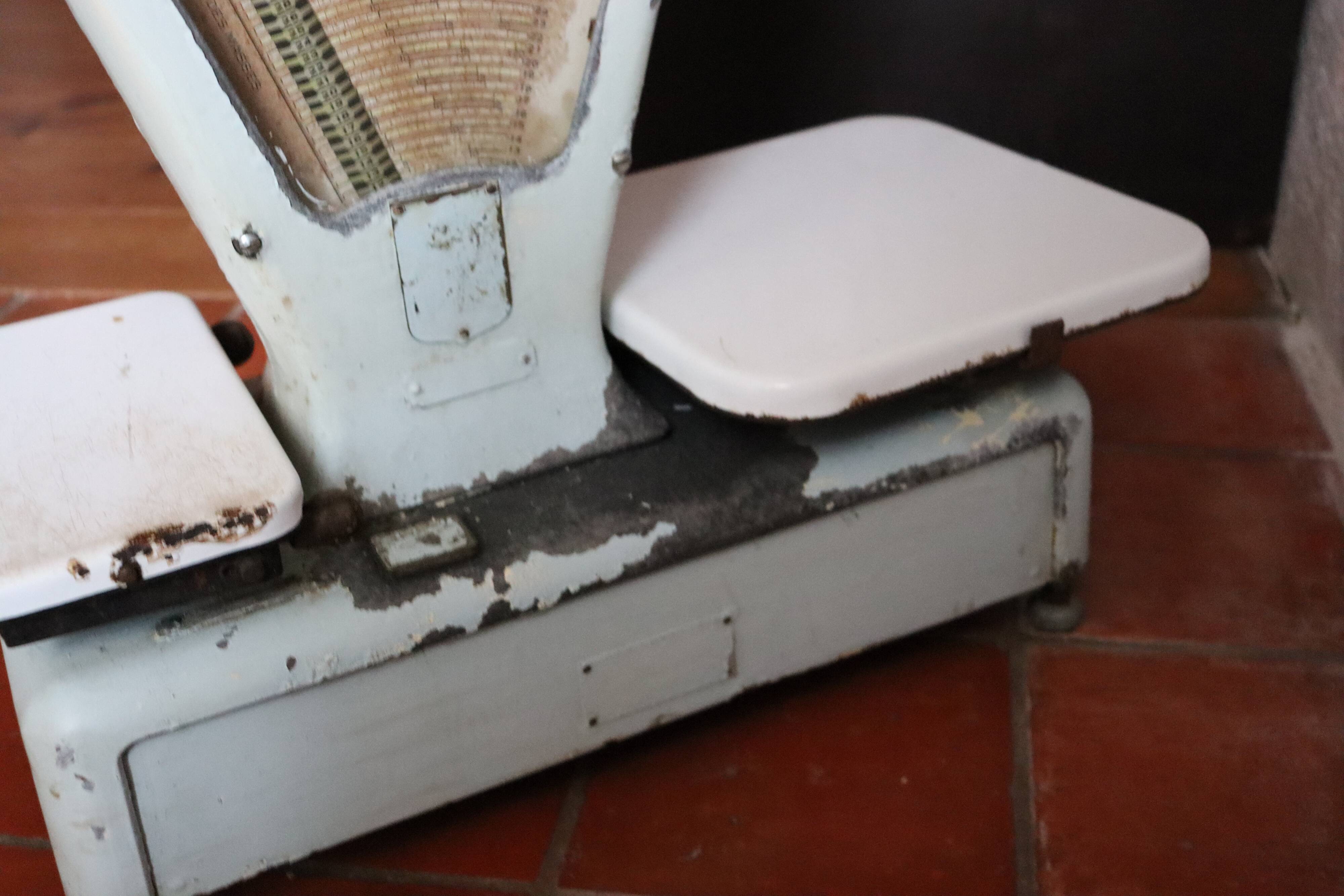 Grocer's balance Lutrana