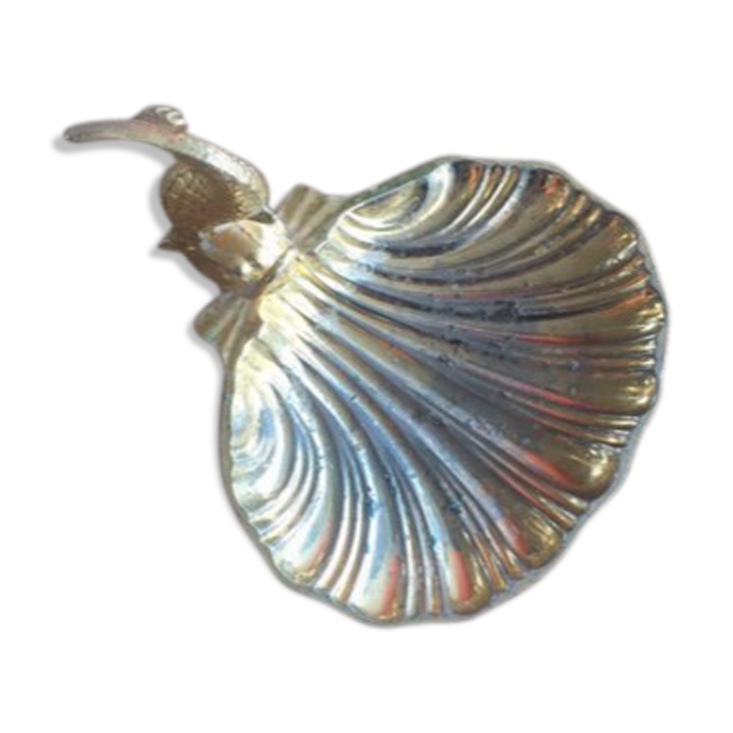 St. james shell soap holder