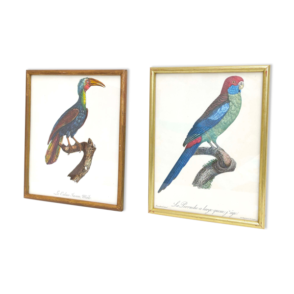 2 affiches lithographies oiseaux cadres dorés — Beyit