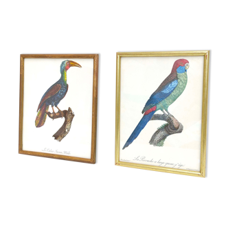 2 posters lithography birds golden frames