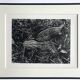 Rosine nusimovici, frost, 1980. black and white silver print signed on the back