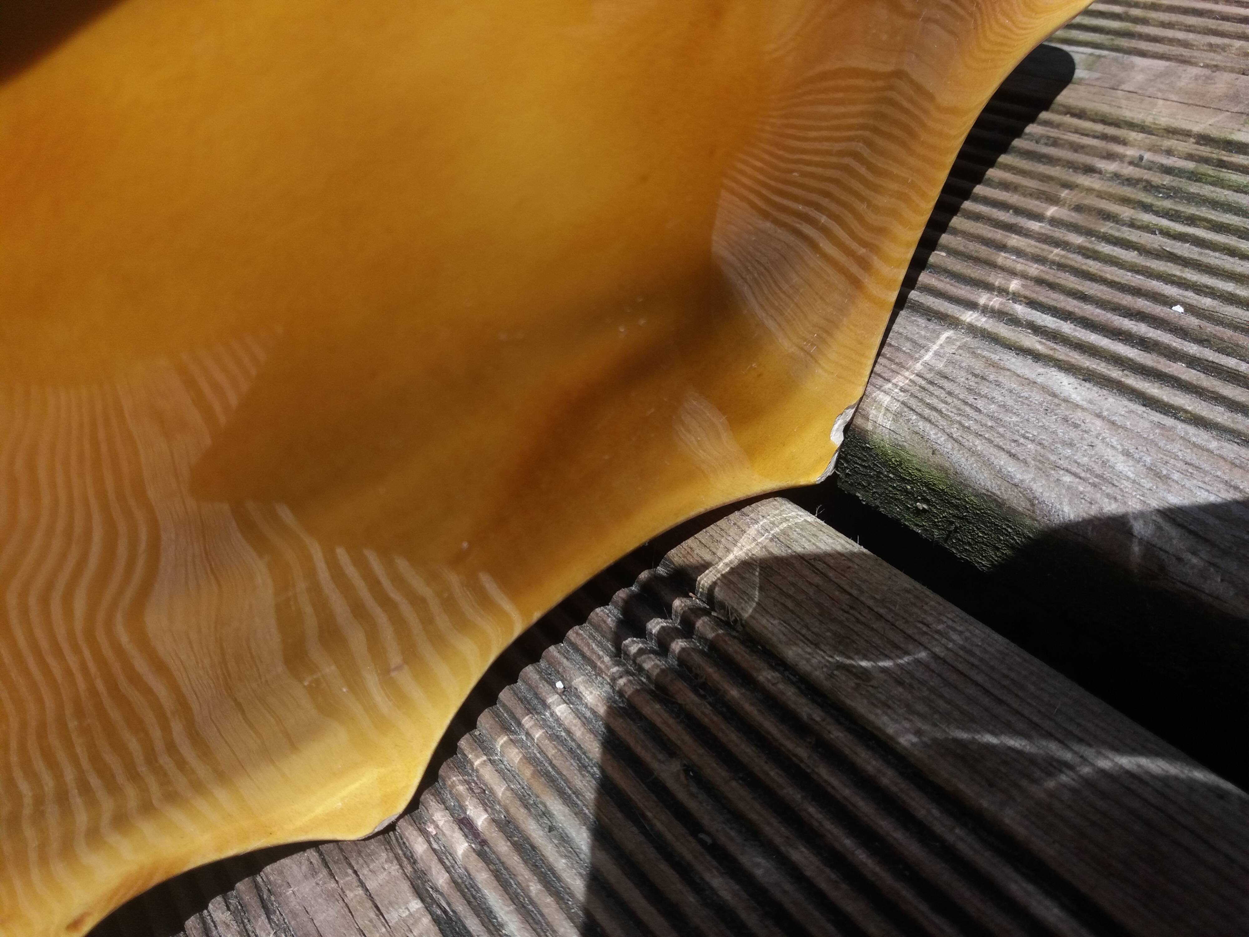Empty fruit bowl FPP Vallauris leaf