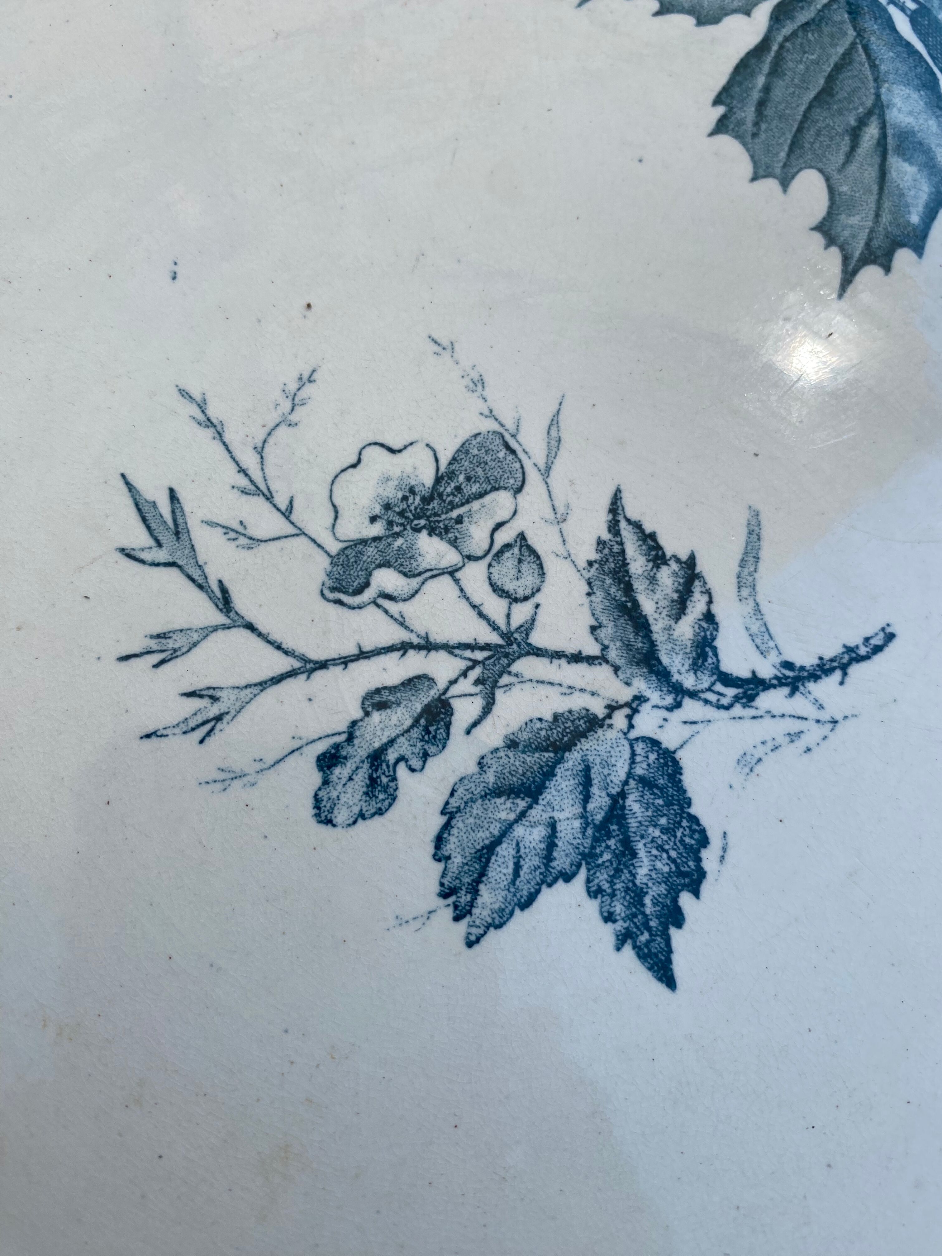 Iron earth dish Badonviller blackberry model