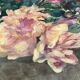 François Félix Roubaud Nature morte huile sur panneau de bois bouquet roses pivoines XIX