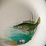 12 fish plates Proceram Cerel Aubagne, 1950s