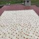 Authentic Beni Ouarain Rug 3.3x2.3M Unbleached Wool with Terracotta Patterns